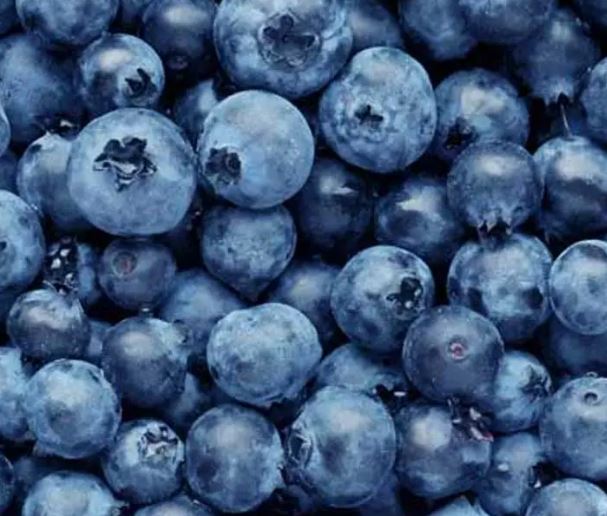 Blueberries