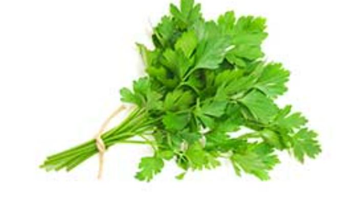 Fresh Parsley