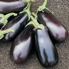 Brinjals x2